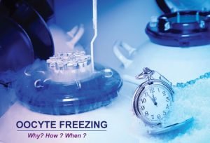 Program Hamil dengan Metode Egg Freezing? Amankah?